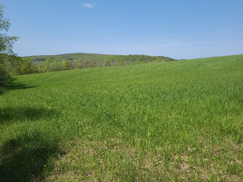 photo_3a94d39c-8da5-4384-b28d-11af5b61bf10