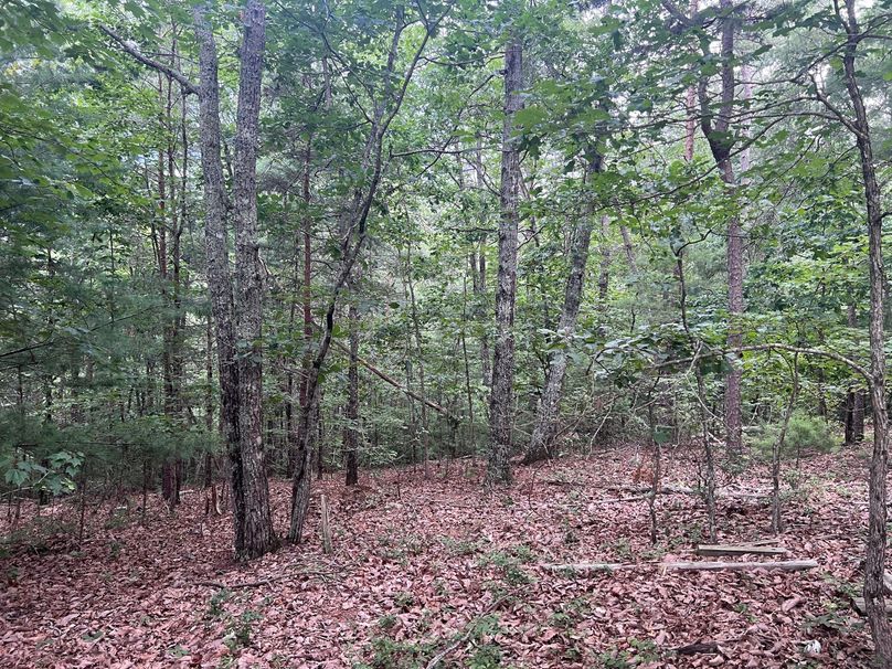 Vacant Building Lot On CulDeSac Near NC Whitetail Properties