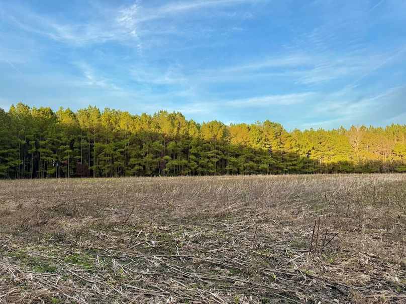 0046F6F0-CB2A-490A-B914-29D9AF4A1C5B