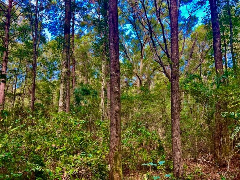 A754A2DE-D77C-4508-A6FA-5AC821C03069_1_105_c