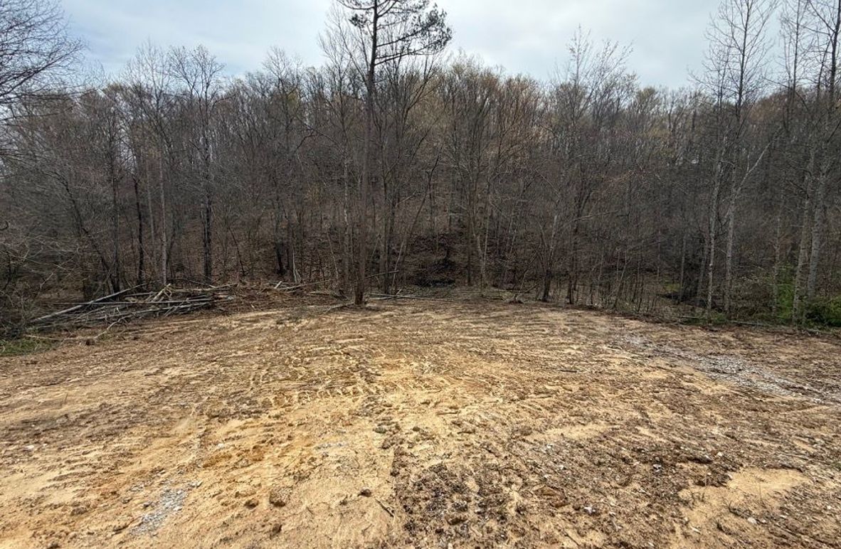 003 clearing at the north boundary near the creek and road, perfect for a cabin or RV