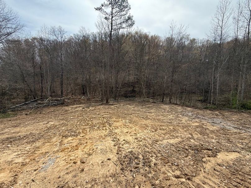 003 clearing at the north boundary near the creek and road, perfect for a cabin or RV