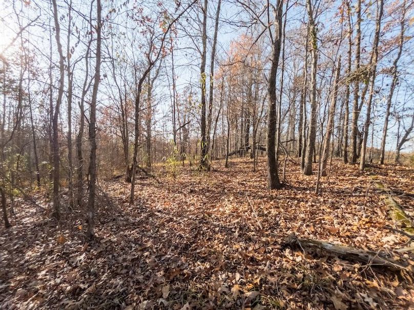 Claiborne Co - 274 - Marian-023