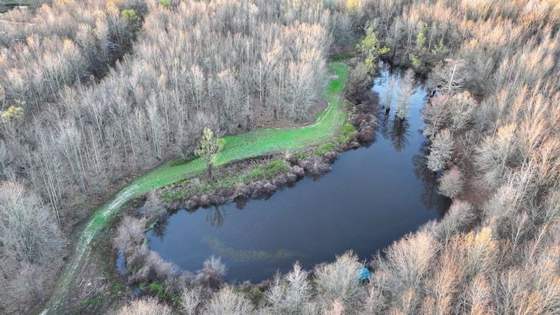 Panola 164.7 SPI Land Ventures-62