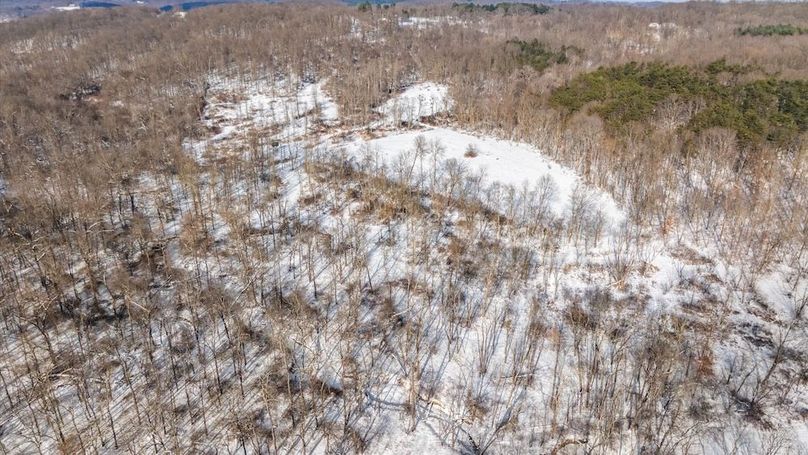 13-z 18408 Brushy008