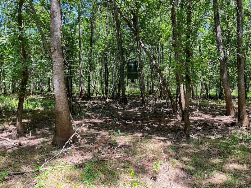 27 Leon Co. 117ac-27