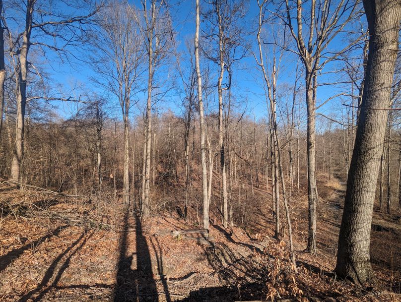 PXL_20231215_164925172