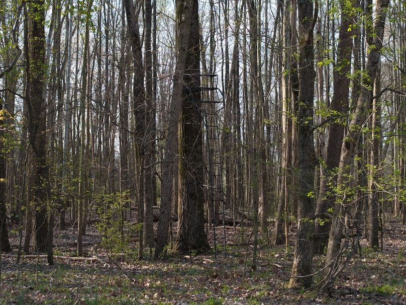 Gibson County Tract 2-18