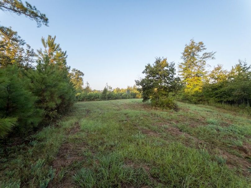 Madison Co - 40 - Clerk-10