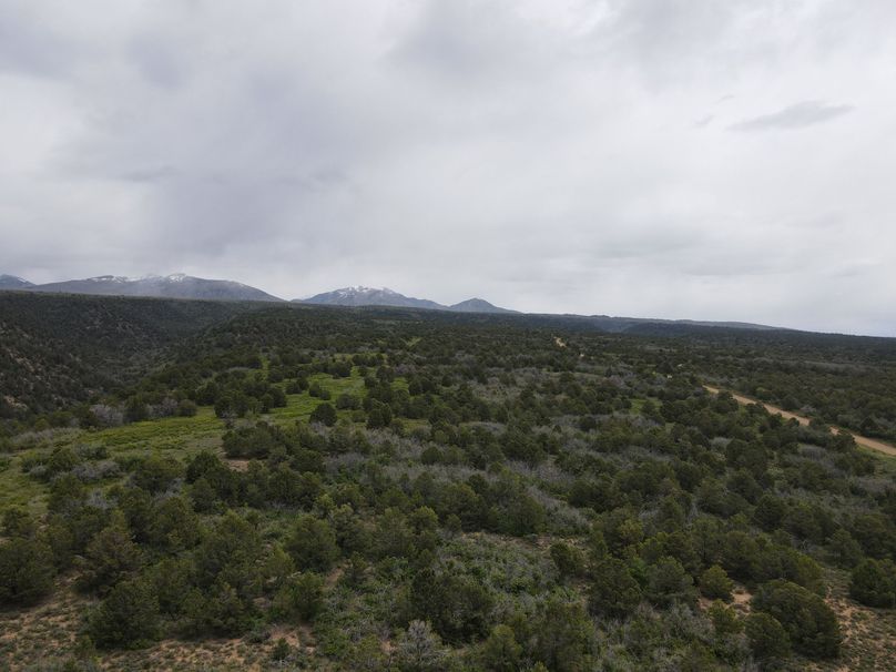 dji_export_1685968247329