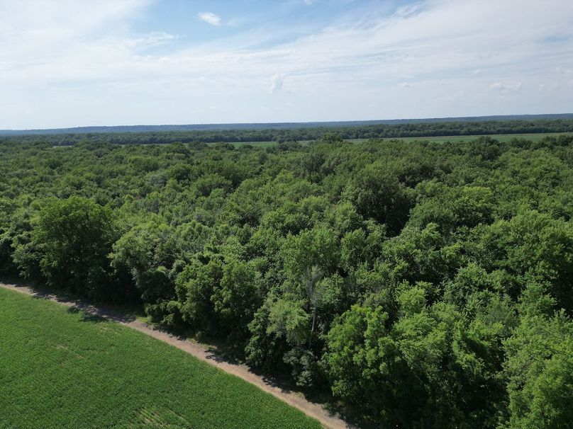 DJI_0407