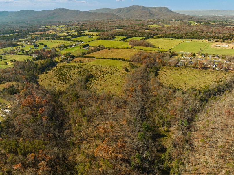 11-web-or-mls-DJI_0383