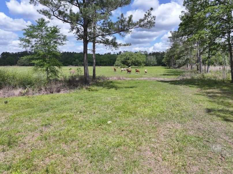 dji_fly_20260414_103446_0084_1776201093368_photo