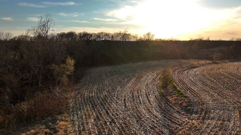 4 Buchanan 252.69 Tract 1