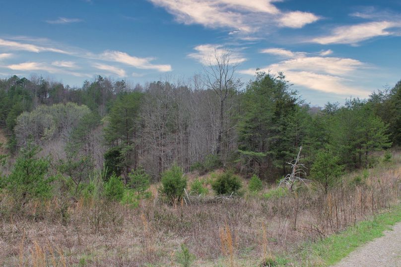 001 western area of the property