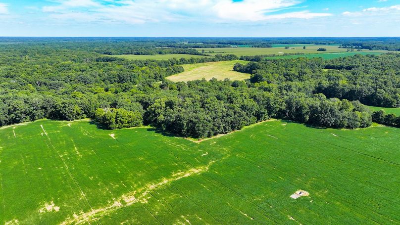 DJI_20240821153855_0081_D