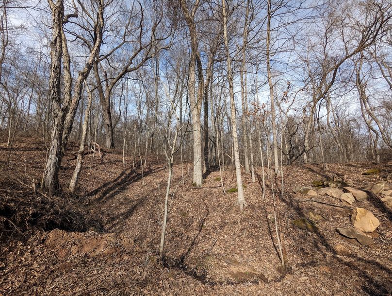 PXL_20230213_154751220