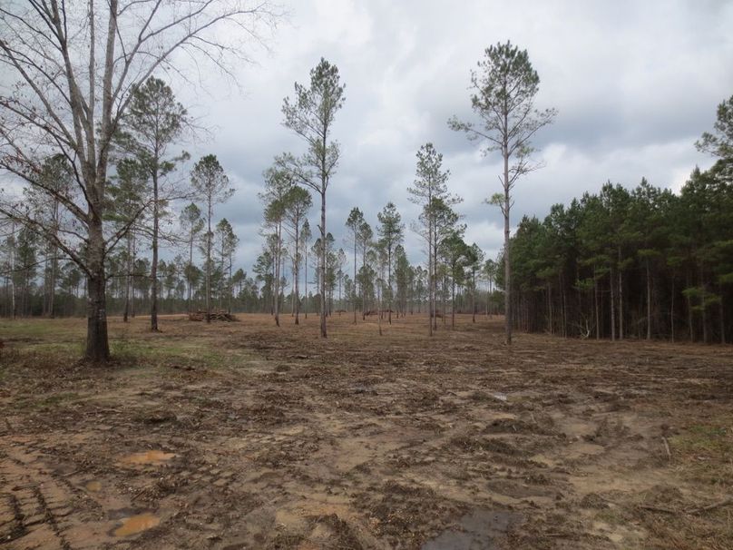 F55389B1-78A6-4803-88D1-CB87C9B07ECE_1_105_c