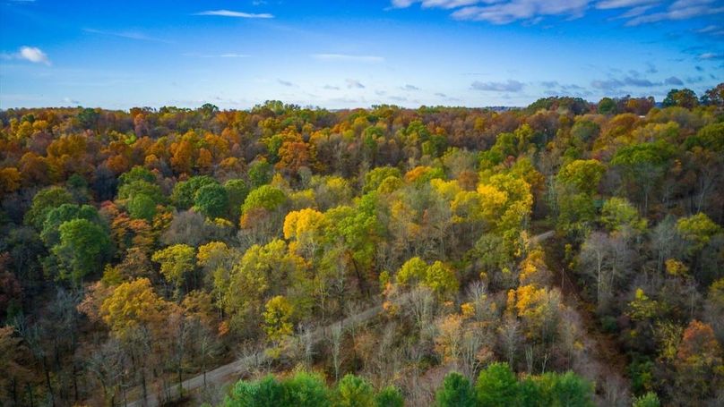 09-zj 31961 Township Rd 381008