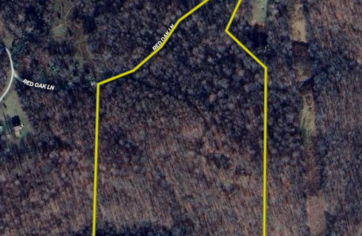 Screen Shot 2025-05-21 at 10.54.58 AM