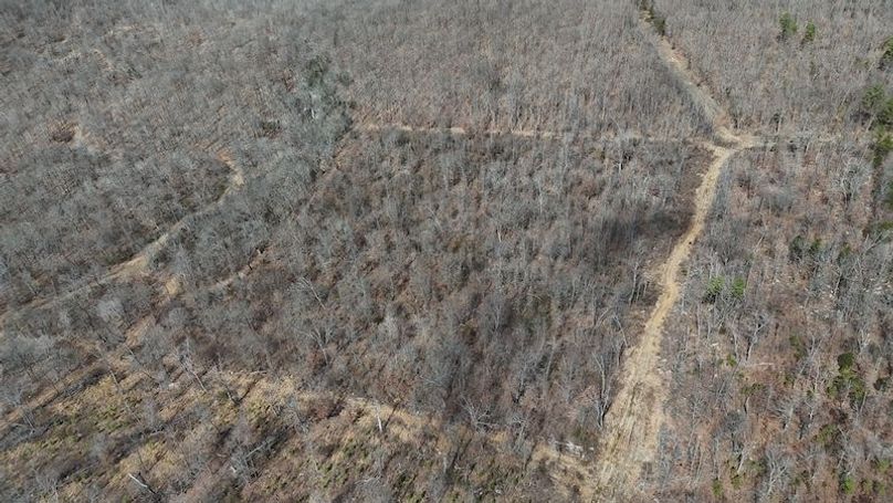 stone8020260307_0046