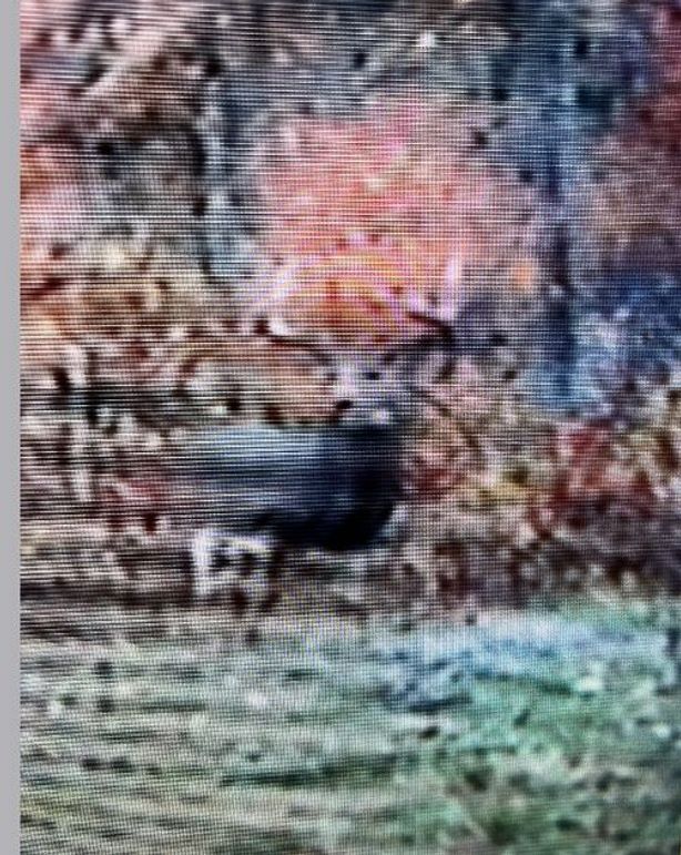 Screenshot 2023-06-07 at 10.27.52 AM