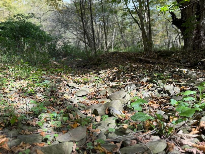 Tioga_30_Flanner Photo 34