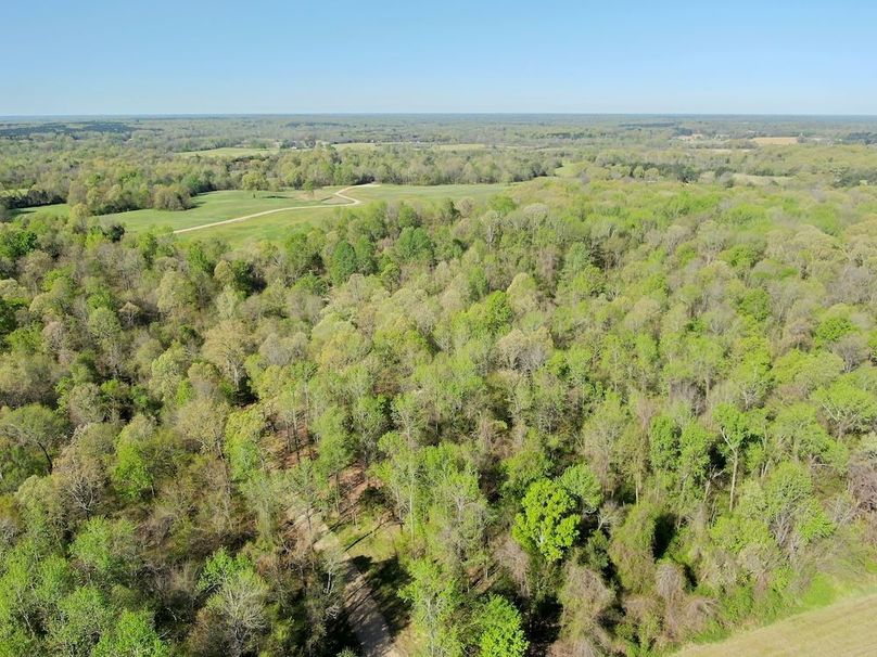 3 Entrance from Road