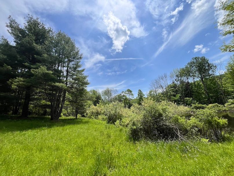 Tioga_78_Biada_Photos_61