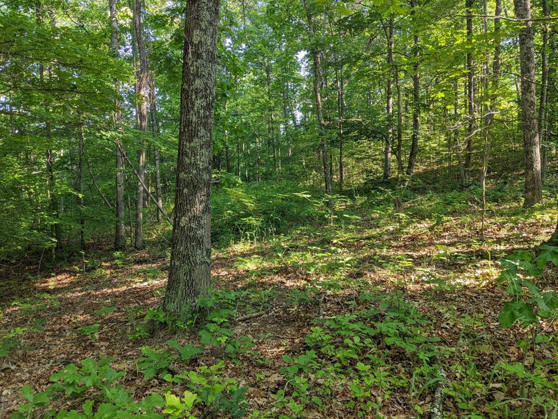 PXL_20230602_133004405