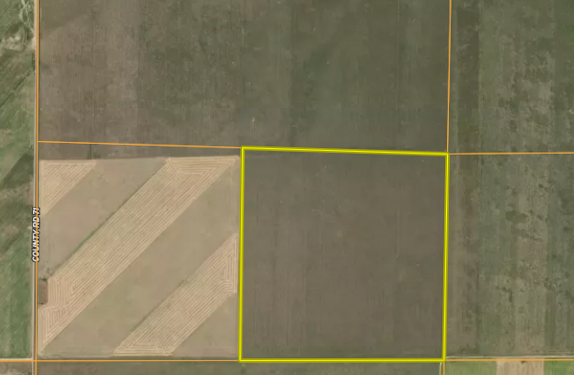 AIREAL - RICHARD WHITED 