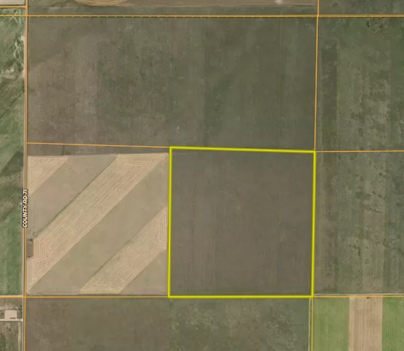 AIREAL - RICHARD WHITED 