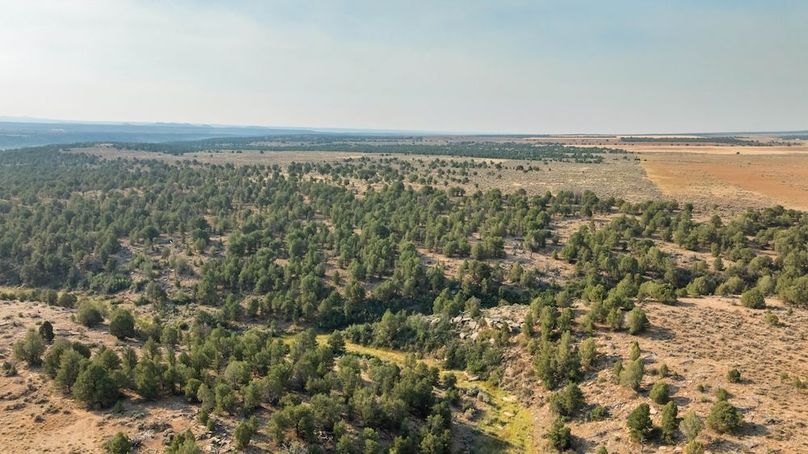 DJI_0621_1