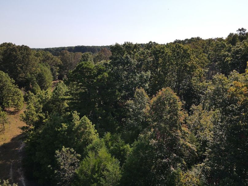 dji_fly_20250902_095138_709_1756824712500_photo