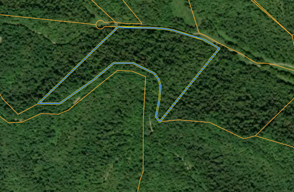 cecil hopkins 21 acres aerial 1