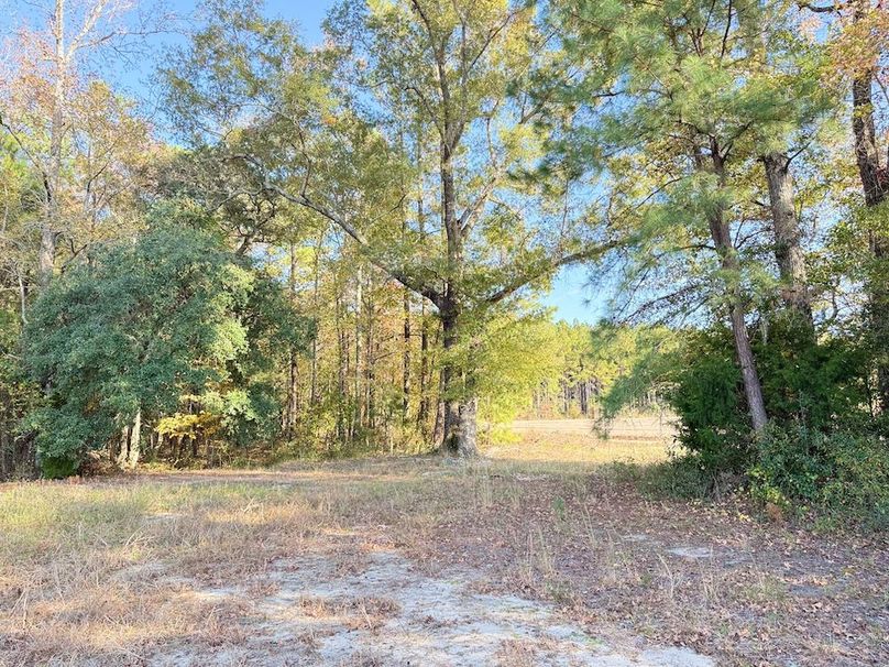 C3527CA2-56D2-431A-843D-5CE91A4637D4