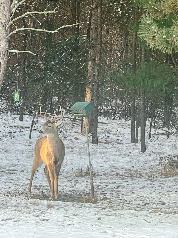 Juneau 27 Wiesner -117