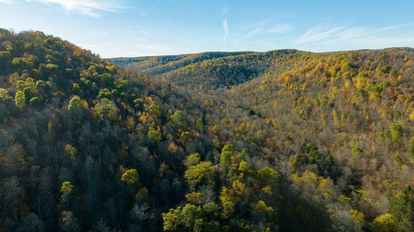 Elk PA 7000 Feature_Pro Photo-62