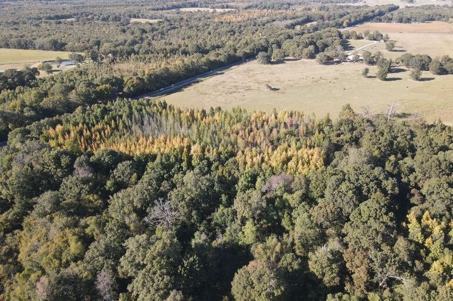 dji_fly_20241017_161204_347_1729199550720_photo 2