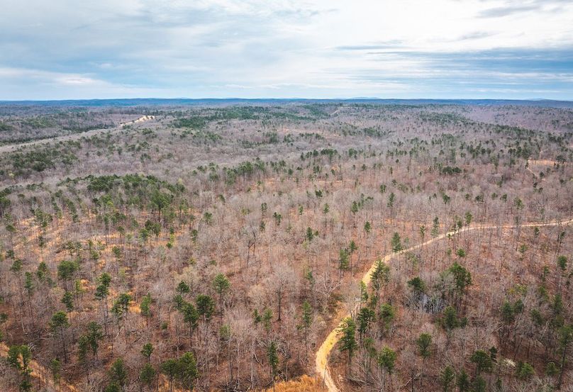 DJI_20250403120336_0567_D