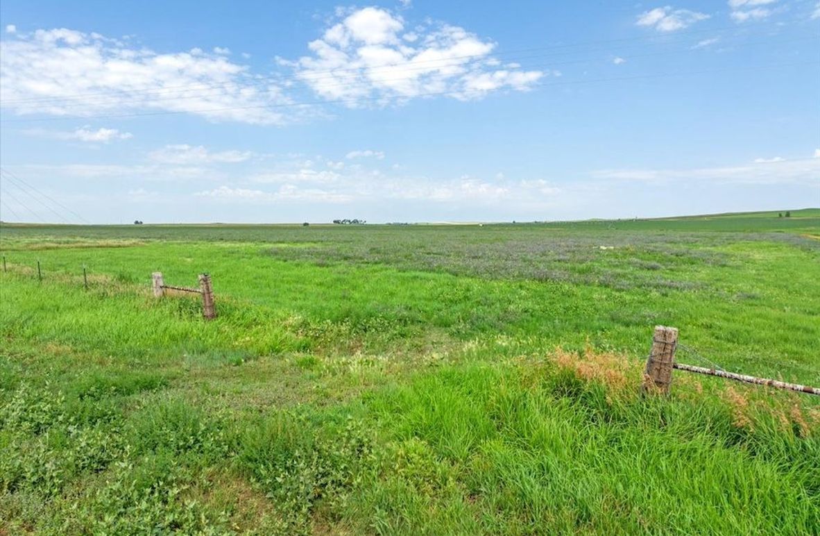 02-Cundy Property-17