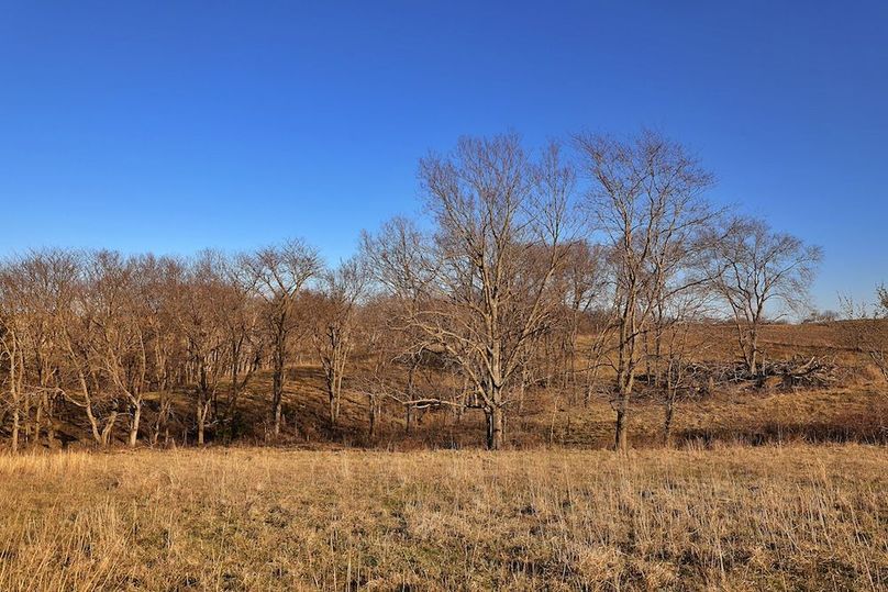 10 Buchanan 252.69 Tract 1