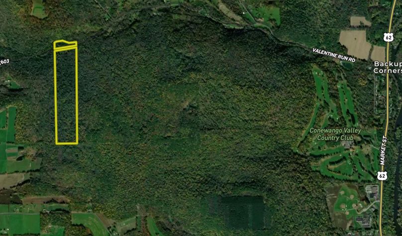 Screen Shot 2025-10-24 at 11.54.18 AM