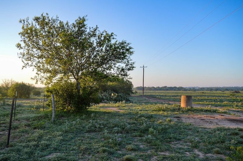 DSC_1039