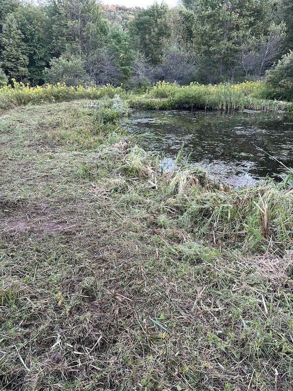 Messenger_creation_E9A09D15-6658-458E-B3E6-B81ADC3E2813