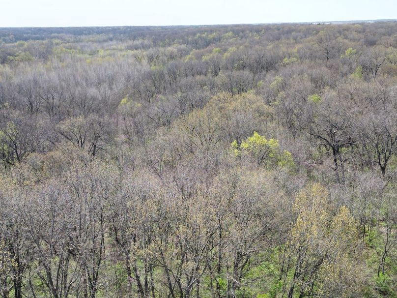 DJI_0221