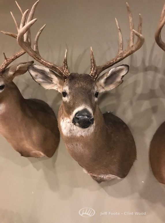 Washington Co - 980 - Patrick-9