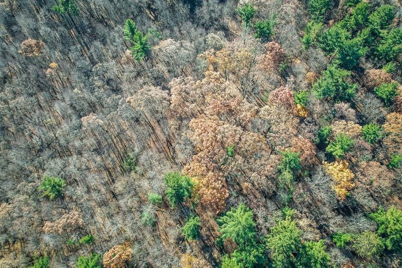 Portage 150.81 JMJK Prop-40