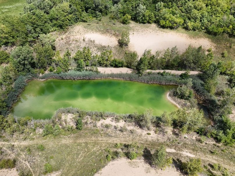 DJI_20250824133552_0438_D