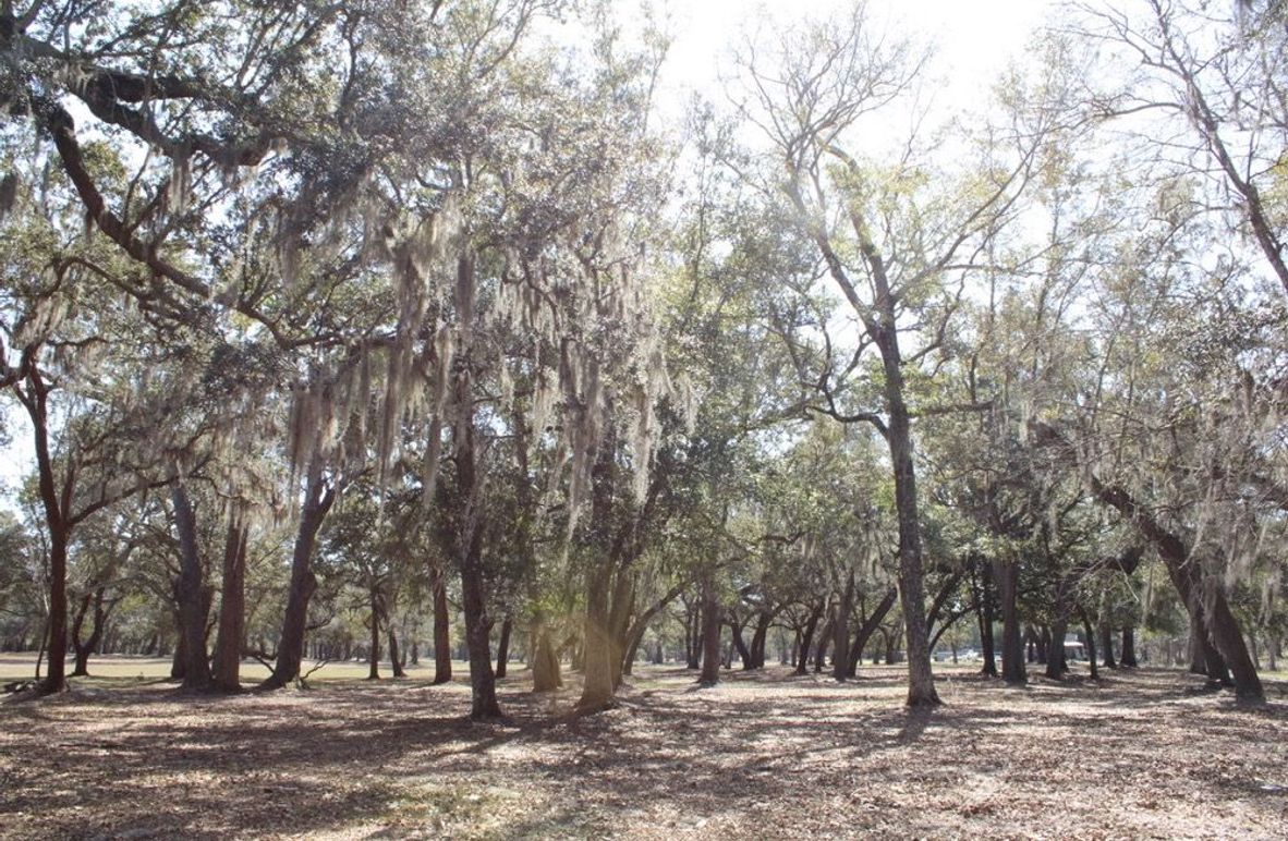 9926DCF2-5053-4926-A04C-0EA85F18F3CC_1_105_c-2